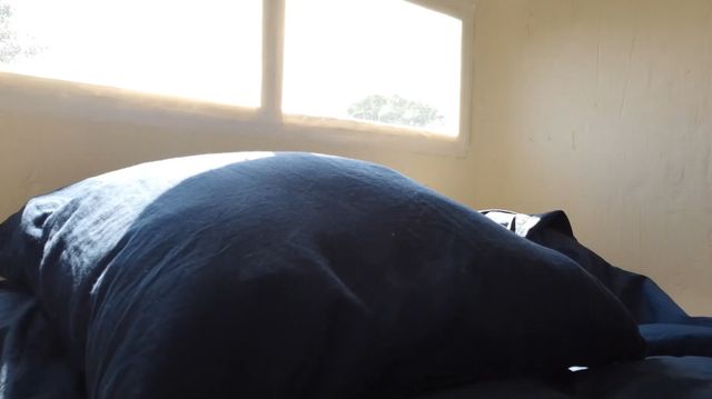 Мешканка Нідерландів перетворила старе зерносховище на крутий будинок - фото 495841