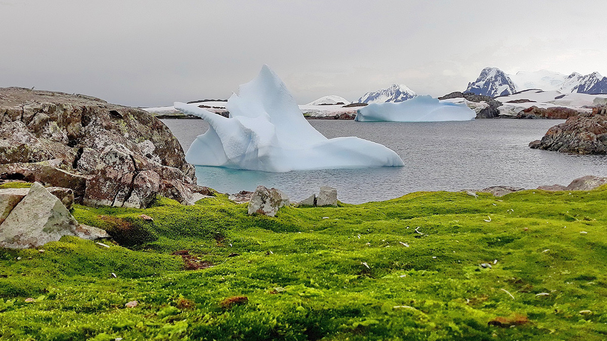 В Антарктиді зафіксували новий температурний рекорд - фото 1