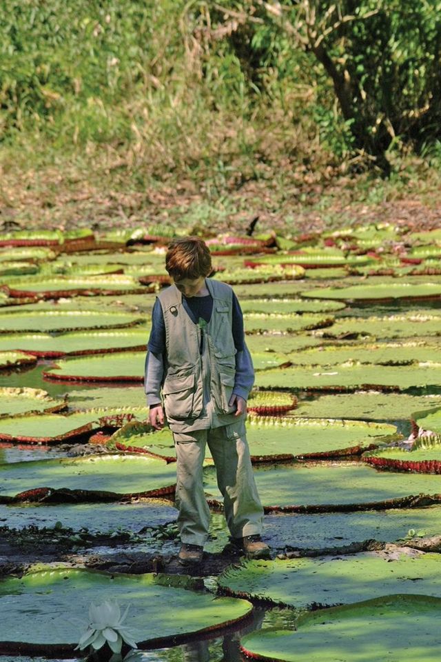 Вчені розкрили секрет гігантського латаття- фото 496286