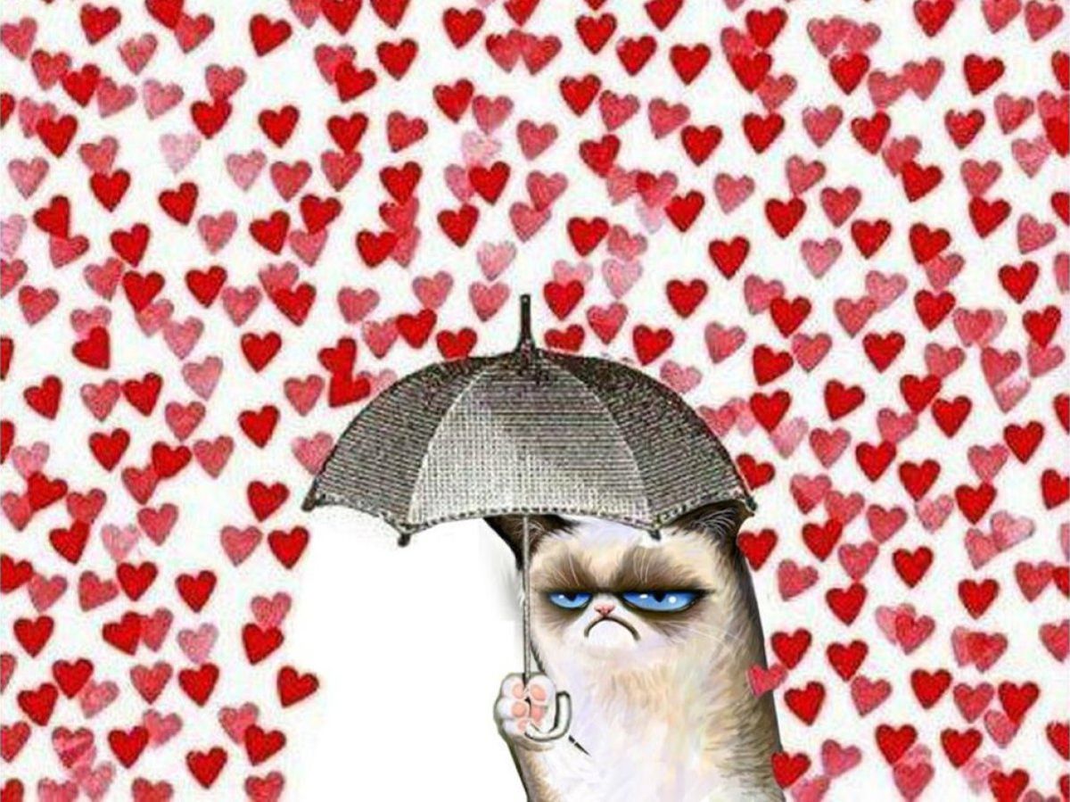 Найдотепніші меми з мережі про День святого Валентина
