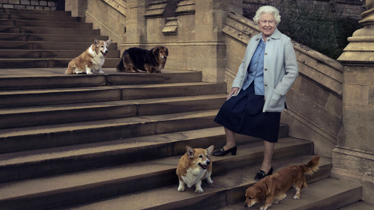 Єлизавета II завела нову собаку: на цей раз це не коргі - фото 1