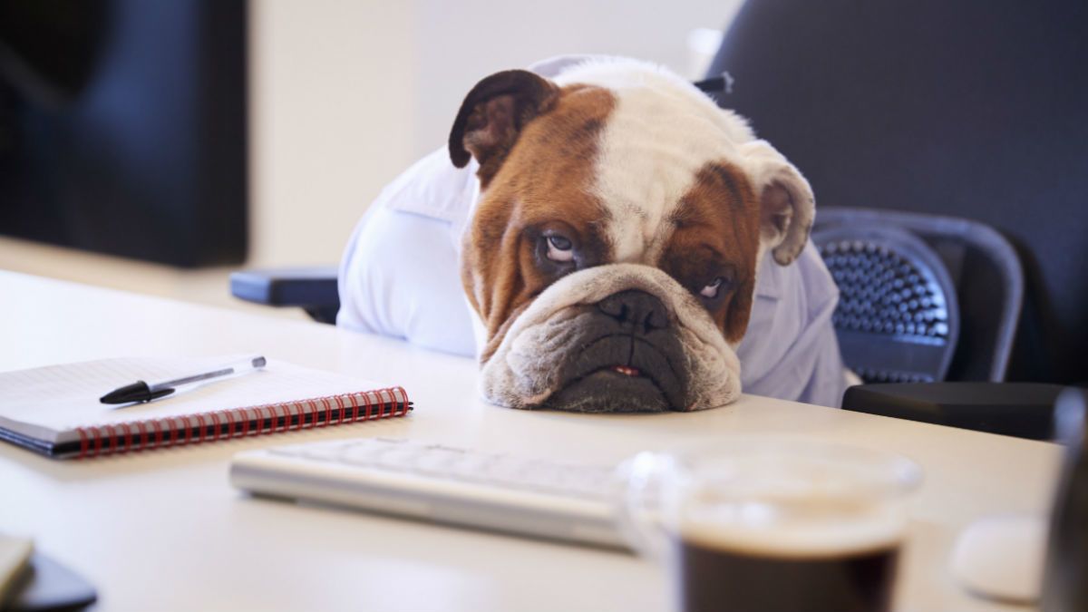 Робота - фото 1