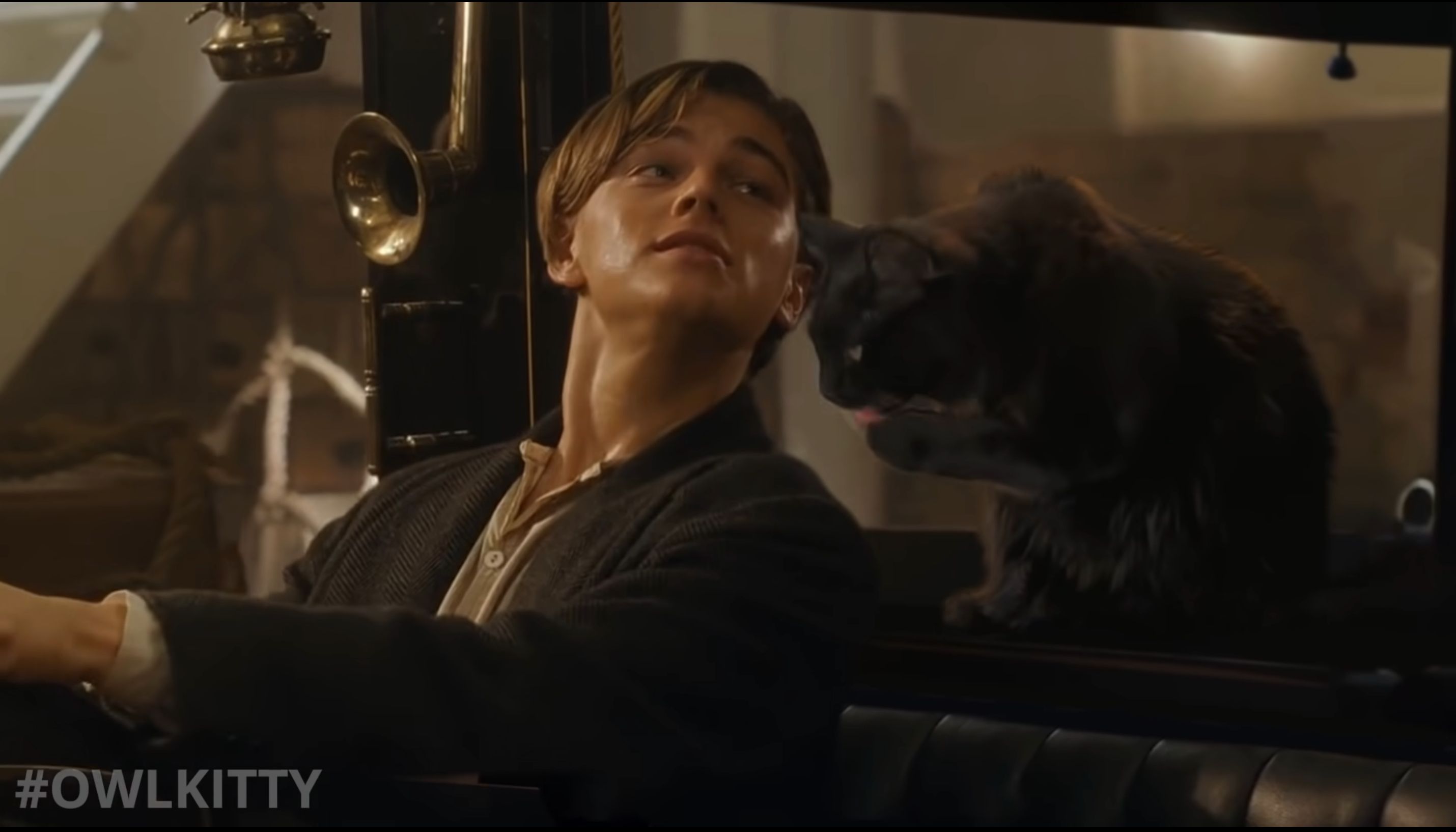 Кішка замінила Кейт Вінслет у Титаніку: дивіться кумедний ремейк