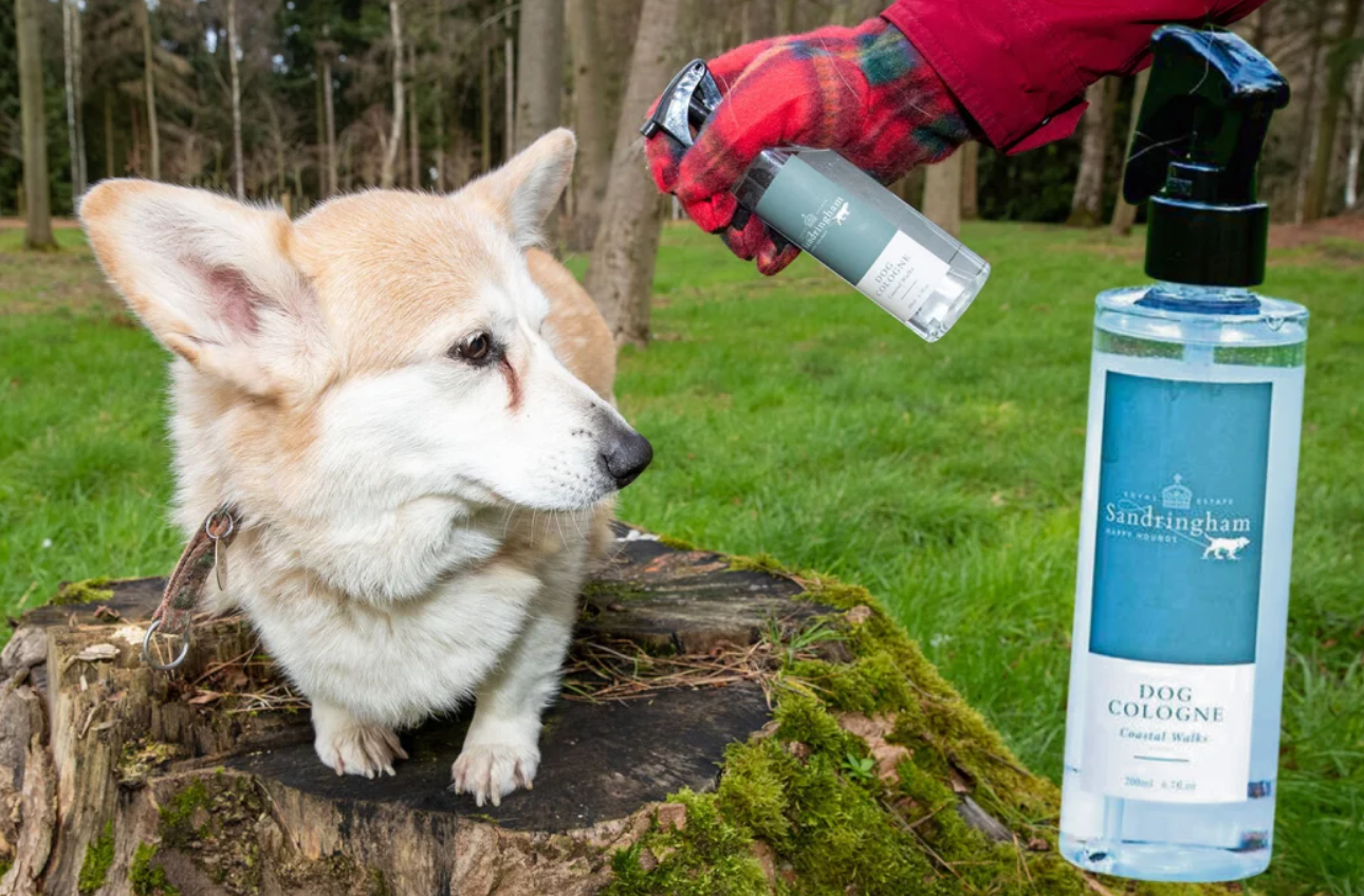 Єлизавета II випустила королівські парфуми для собак