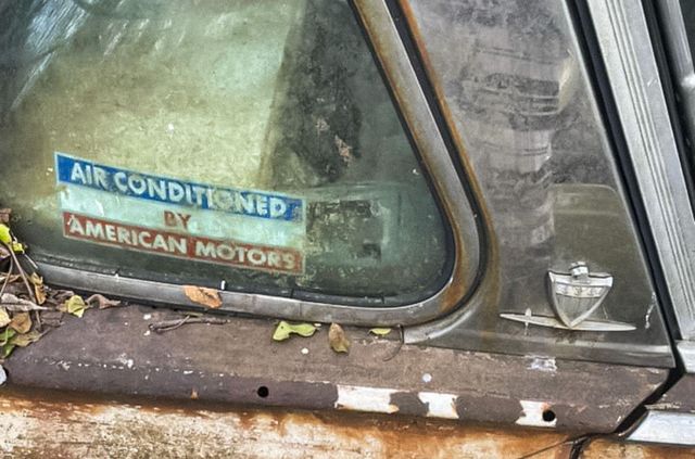 У США знайшли кладовище старих авто: крізь них буквально проросли дерева - фото 497356