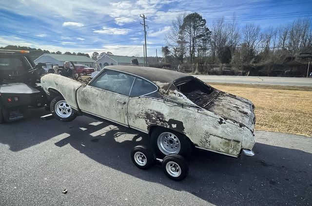 У США знайшли кладовище старих авто: крізь них буквально проросли дерева - фото 497357