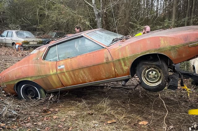 У США знайшли кладовище старих авто: крізь них буквально проросли дерева - фото 497359