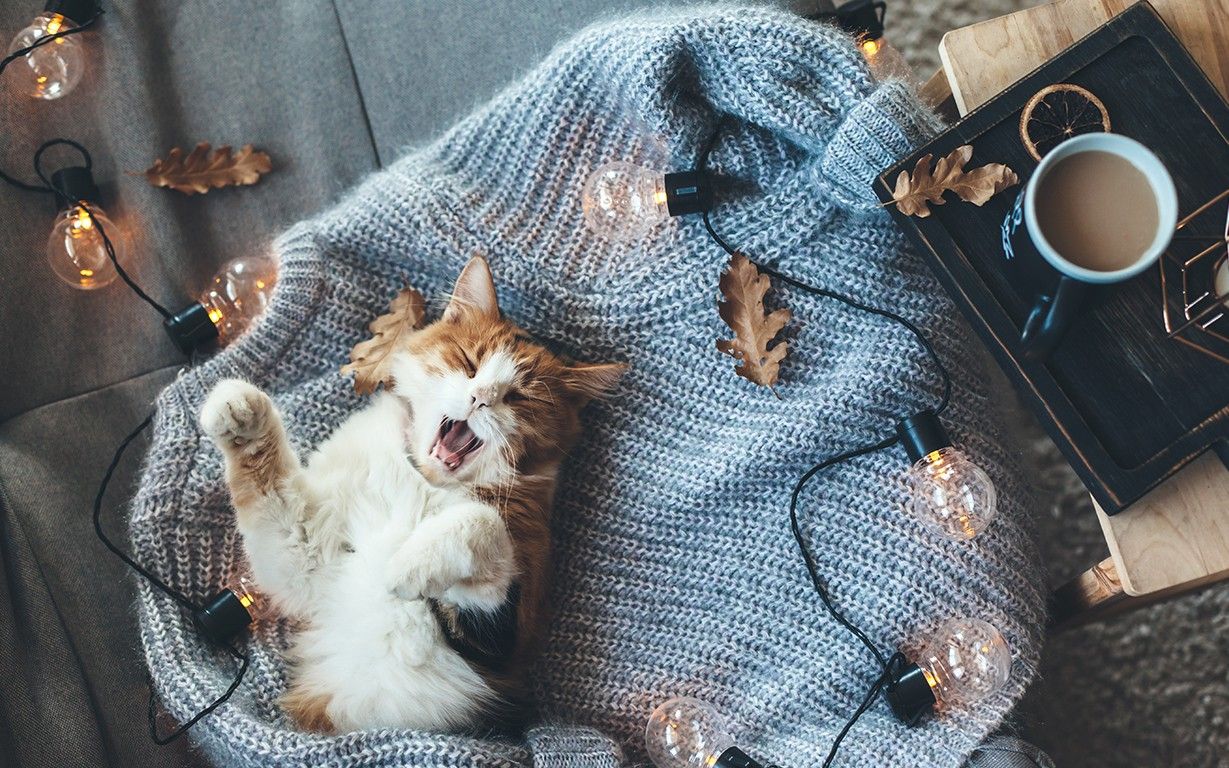 Мешканці найщасливіших країн виявилися більш схильними до депресій