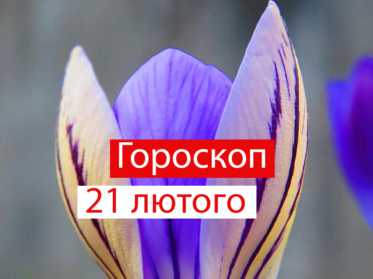 Гороскоп на 21 лютого 2022: прогноз для всіх знаків Зодіаку