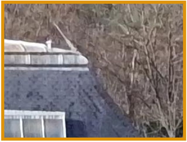 Навіть не потрапив у ТОП 10: експерти DxOMark оцінили камери Galaxy S22 Ultra - фото 497607