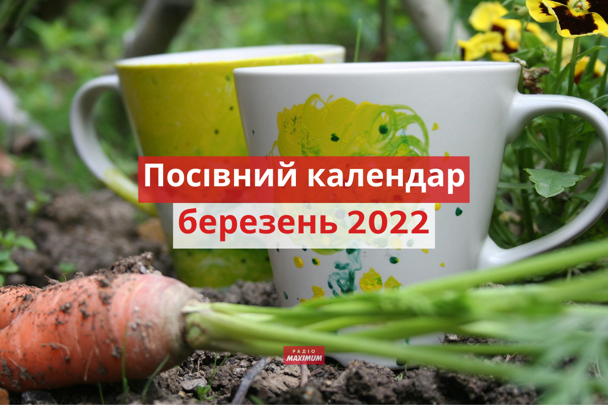 Місячний посівний календар на березень 2022: коли і що садити