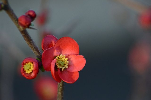 Вихідні і свята у травні 2022: календар робочих і вихідних днів в Україні - фото 497961