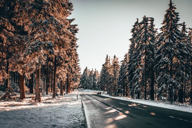 23 лютого 2023 – яке сьогодні свято: традиції, заборони і прикмети - фото 498345