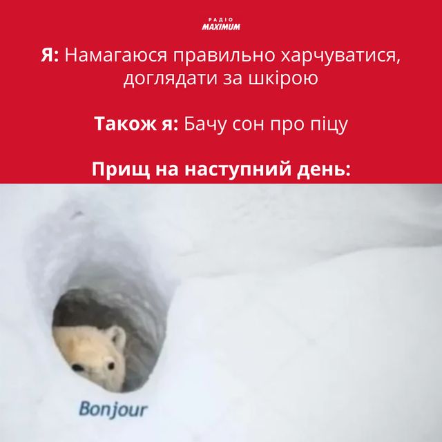 Полярні ведмеді у мемах: 10 веселих картинок на всі випадки життя - фото 498498