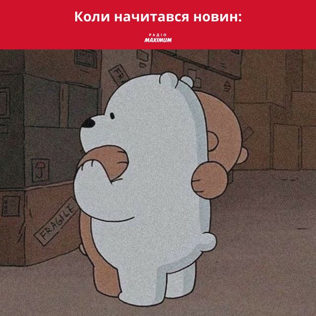 Полярні ведмеді у мемах: 10 веселих картинок на всі випадки життя - фото 498502