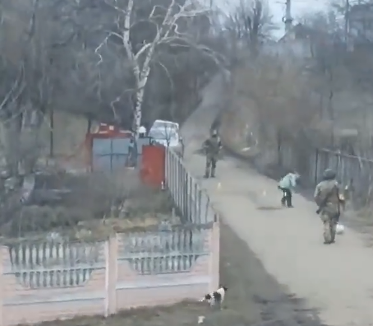 Кадр з відео - фото 1