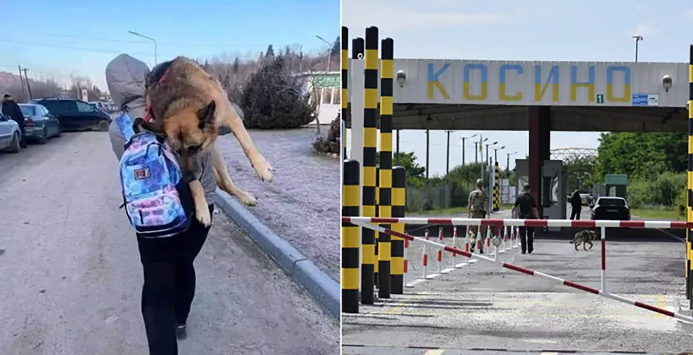 Українська сім'я несла великого собаку 17 кілометрів, щоб перетнути з ним кордон