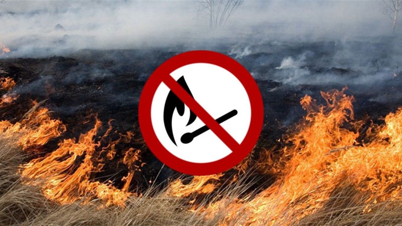 "Пали ворога, а не свою землю": у ДСНС закликали українців не палити траву