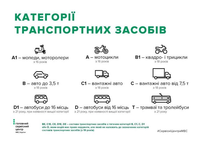 Кабмін дозволив під час війни водіям з правами категорії В їздити на вантажівках - фото 501555