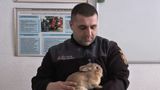 Харківські рятувальники розповіли зворушливу історію кролика Лакі