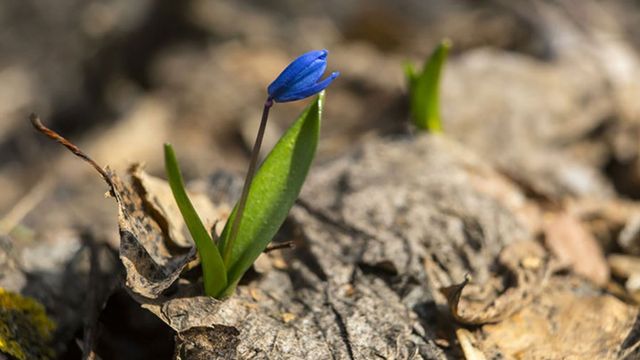 Погода в Україні: квітень почнеться з морозів і злив- фото 501884