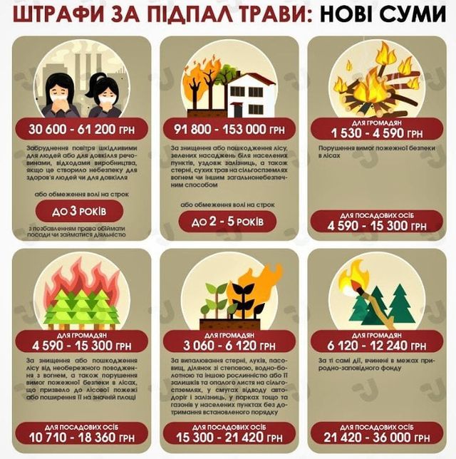 Українцям нагадали про штрафи за підпал трави: нові суми - фото 502023