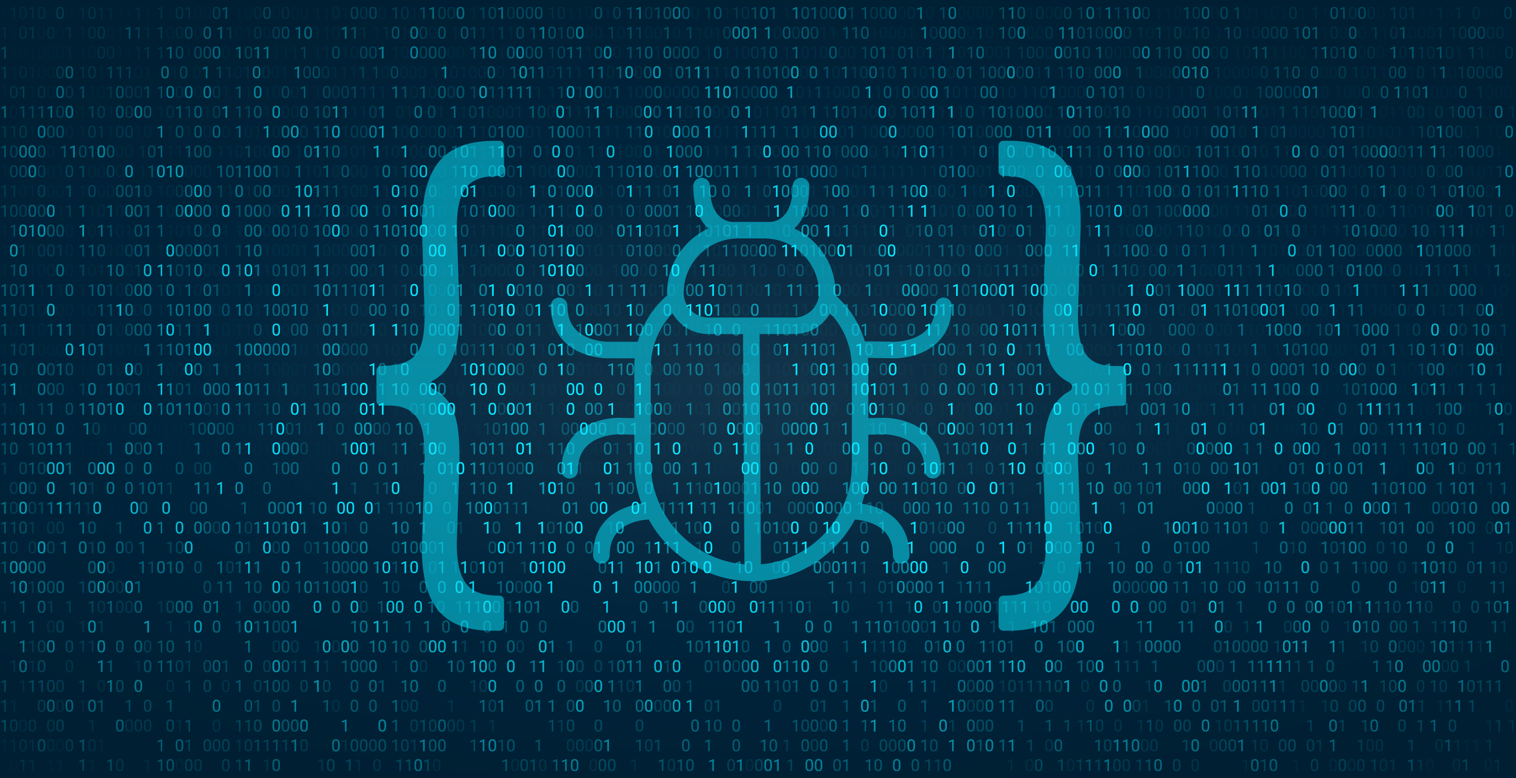 В Україні узаконили Bug Bounty: що це і як може допомогти