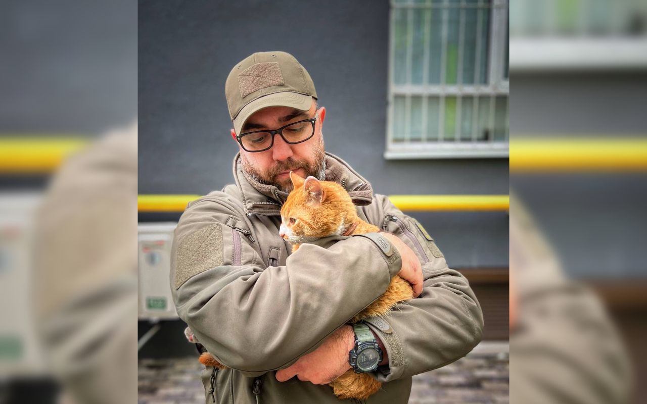 Історія порятунку котика в Ірпені зворушує до сліз - фото 1