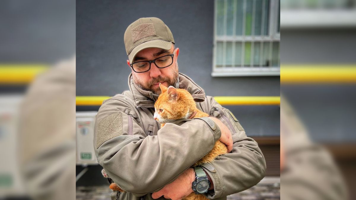 Історія порятунку котика в Ірпені зворушує до сліз - фото 1