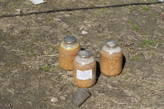 'Зрозуміло, чому ці скоти їли навіть собак': у мережі показали пайок російської армії - фото 502973