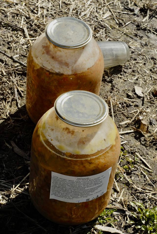 'Зрозуміло, чому ці скоти їли навіть собак': у мережі показали пайок російської армії - фото 502974