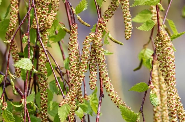 18 квітня 2023 – яке сьогодні релігійне свято: традиції, заборони і прикмети - фото 503394