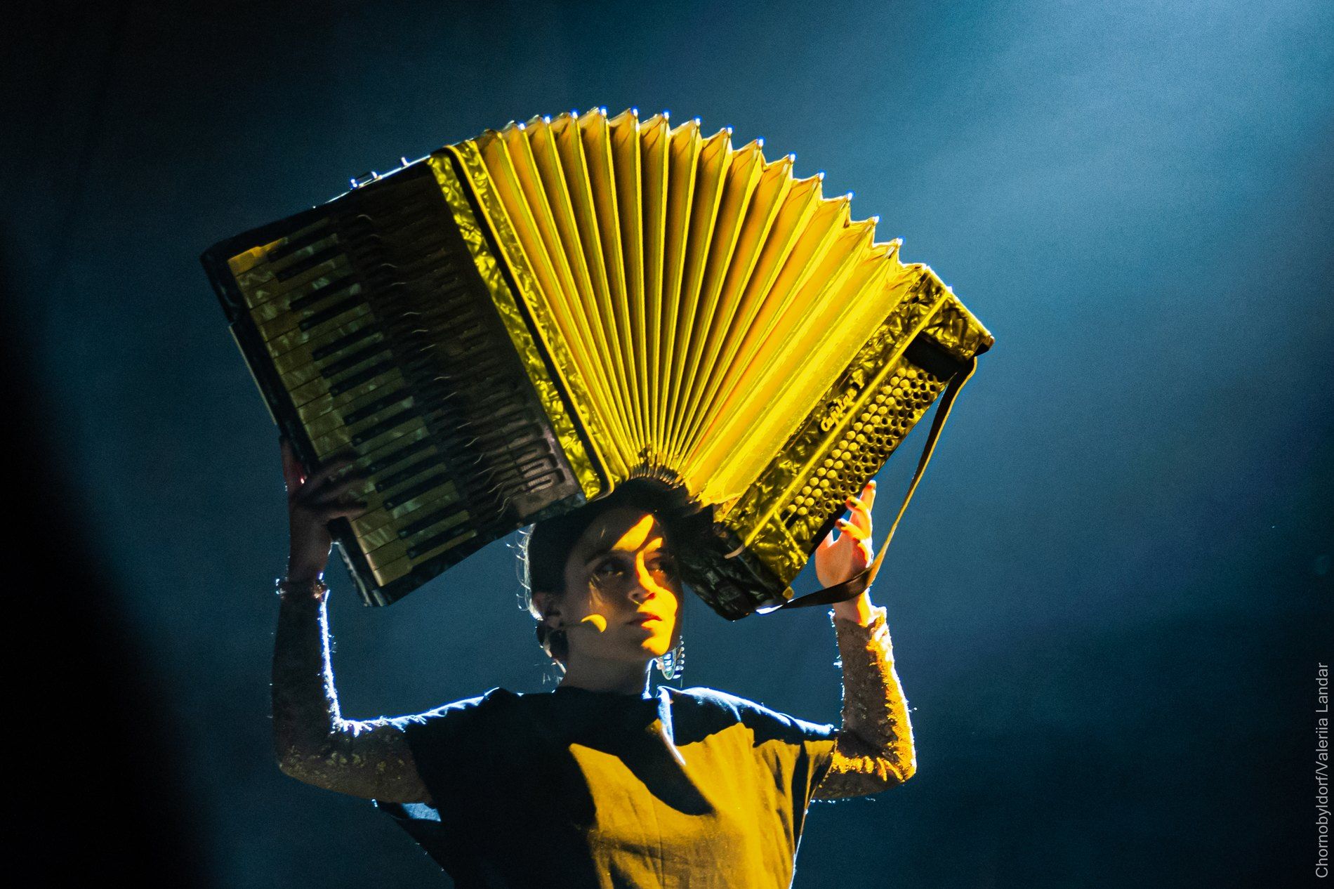 Чорнобильдорф - фото 1