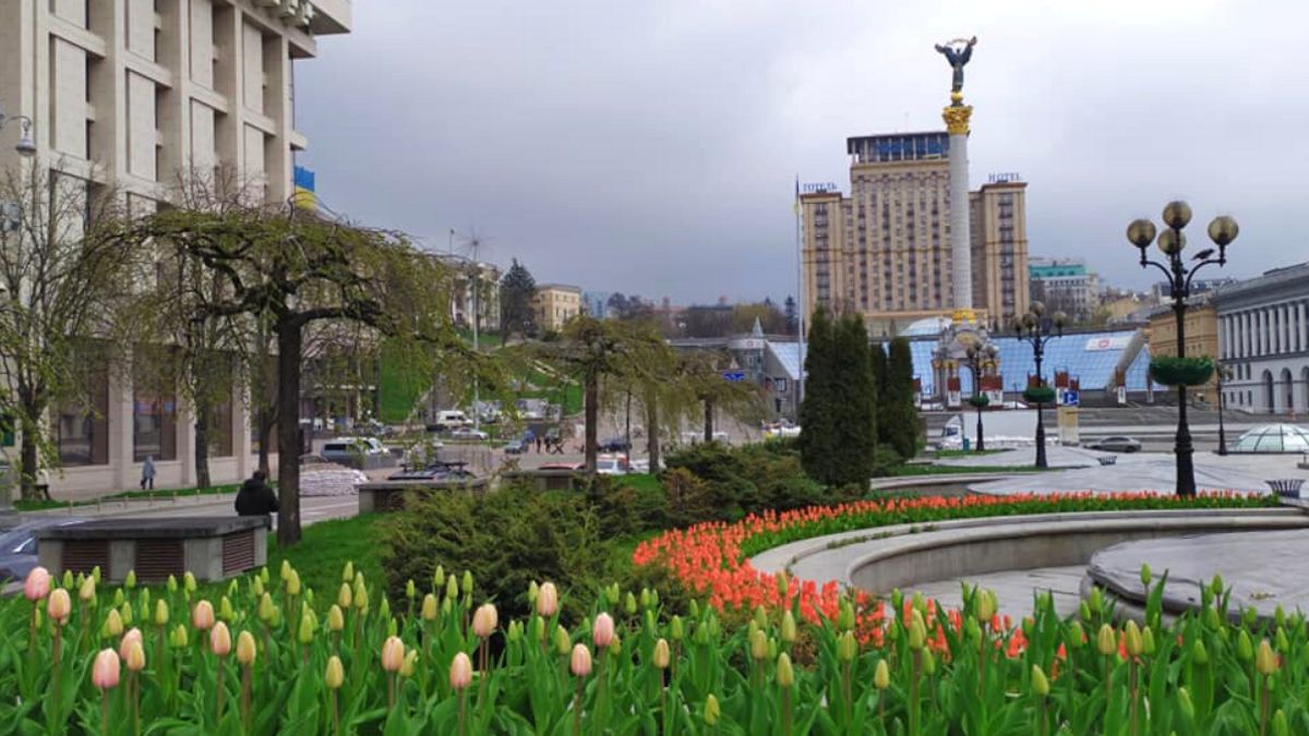 Символ Небесної сотні: У Києві розцвіли 100 тисяч тюльпанів - фото 1