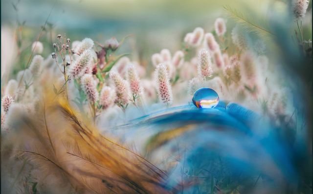 30 квітня 2023 – яке сьогодні свято: традиції, заборони і прикмети - фото 503935