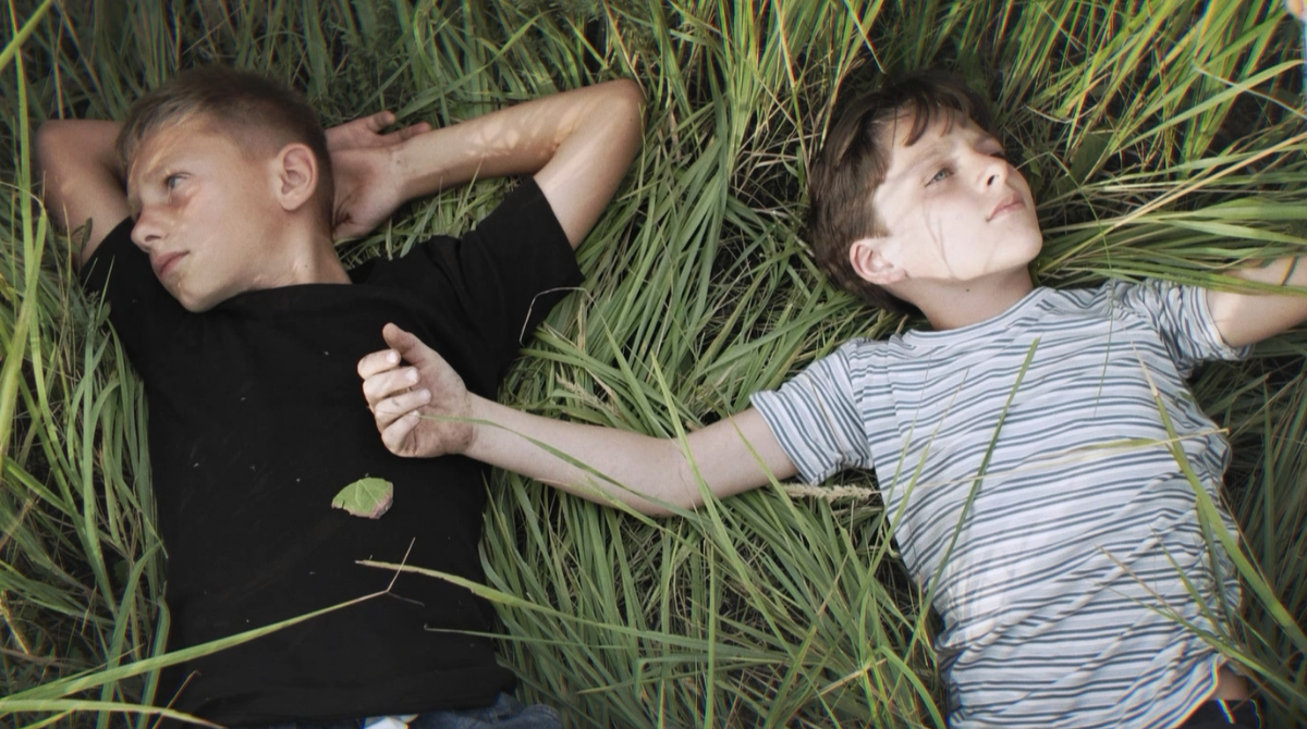 Українську короткометражку "Запах поля" покажуть на фестивалі у Венеції - фото 1