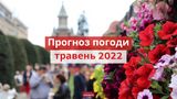 Погода у травні 2022 в Україні: прогноз синоптиків на місяць