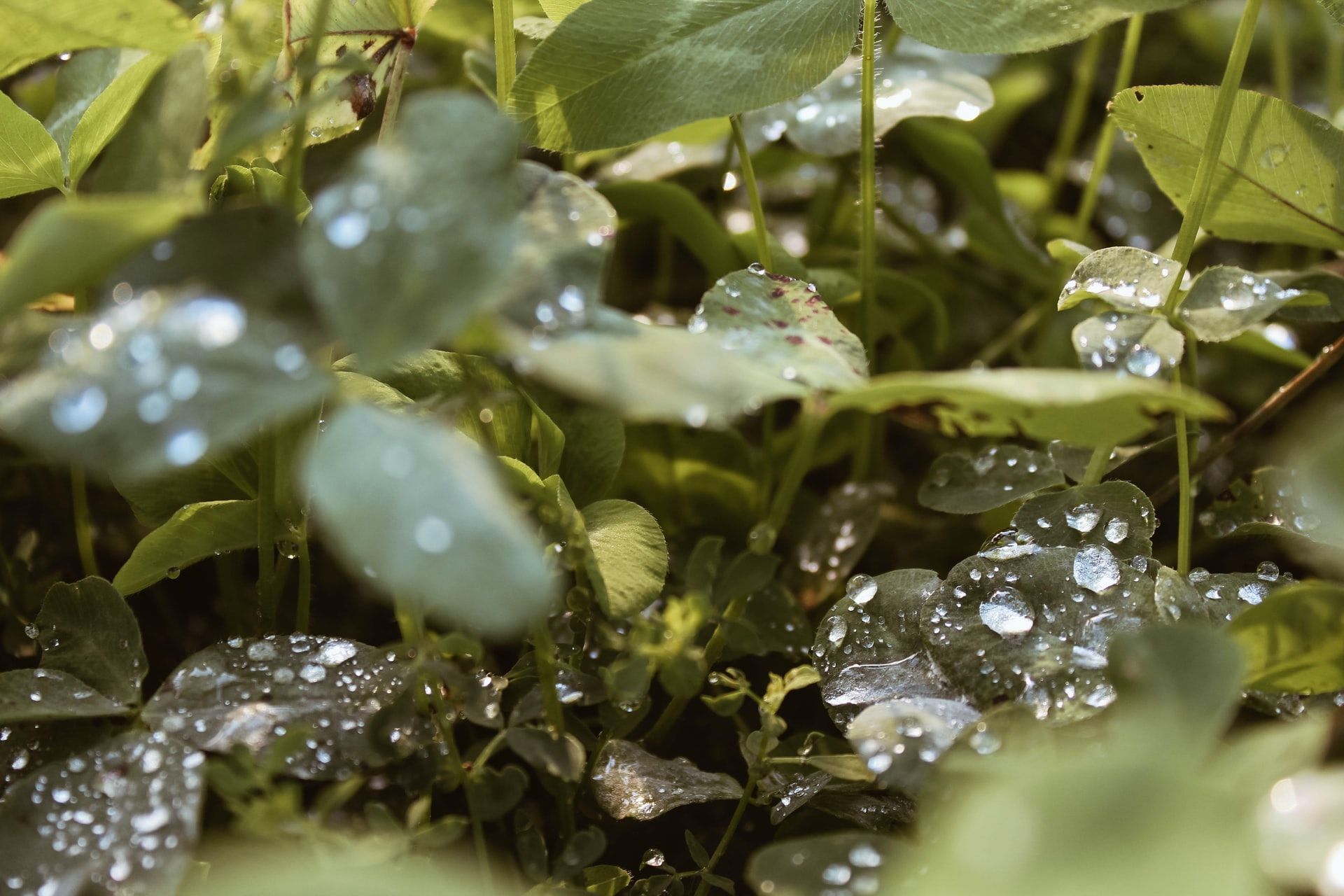 Прогноз погоди на 29 квітня в Україні - фото 1