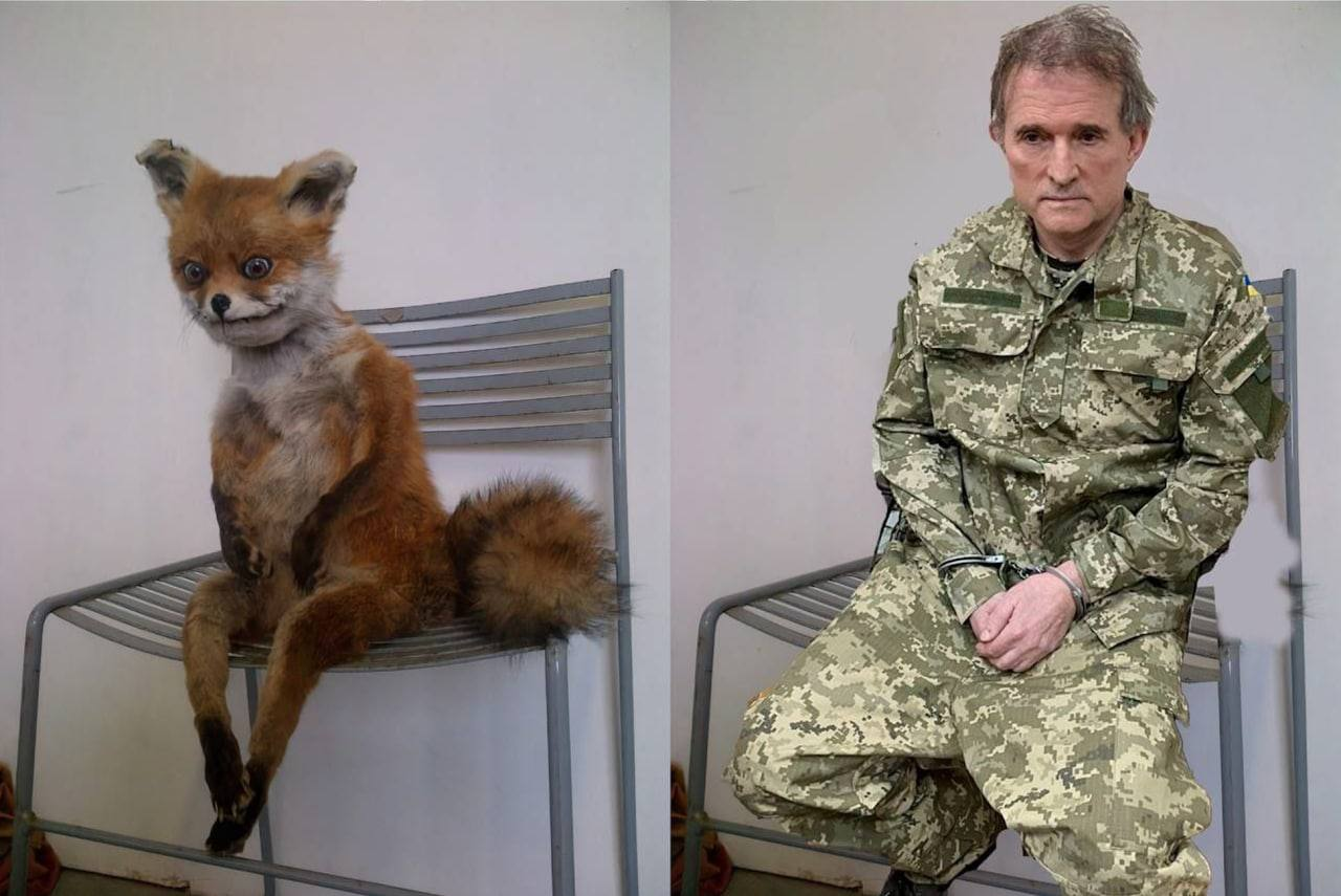 Чому Путін не рятує свого кума Медведчука: пояснення Подоляка