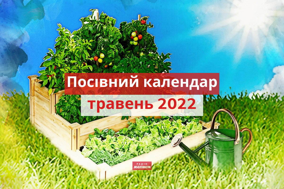 Місячний посівний календар на травень 2022: коли і що садити