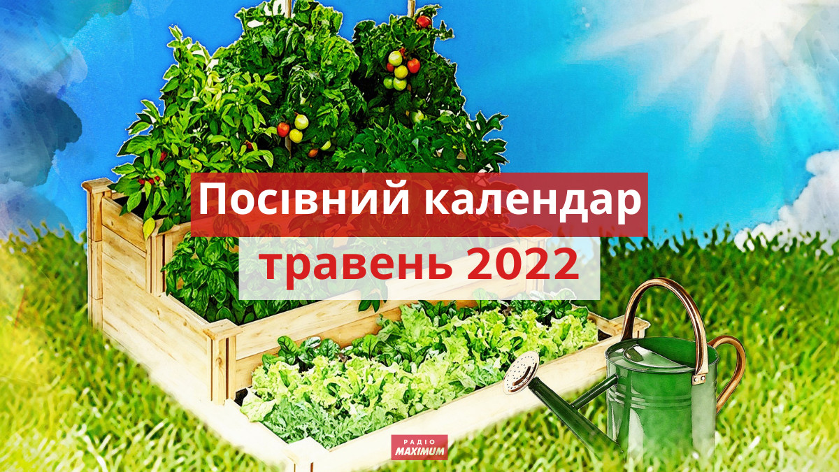 Посівний календар для городника на травень 2022 - фото 1