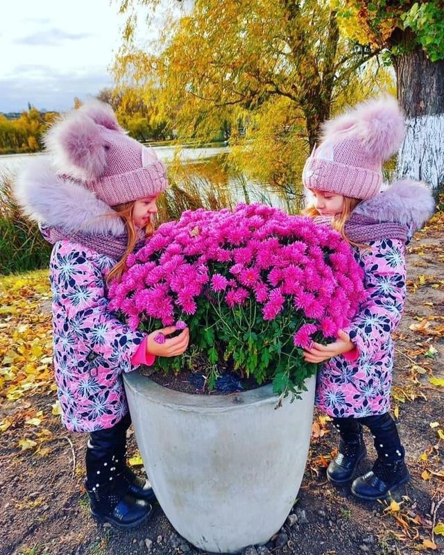 У Василькові набережну назвуть на честь прем'єра Бориса Джонсона - фото 504609