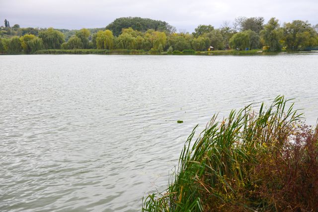 У Василькові набережну назвуть на честь прем'єра Бориса Джонсона - фото 504610