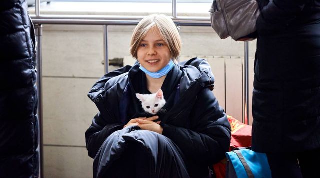 В Укрзалізниці розповіли, скільки тварин евакуювали від початку війни - фото 504691