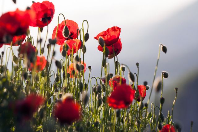 7 травня 2023 – яке сьогодні свято: традиції, заборони і прикмети - фото 504729