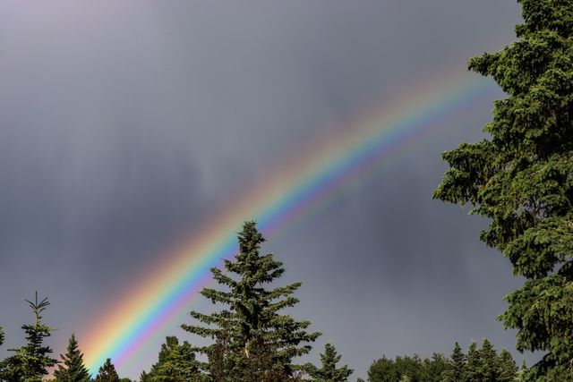 Kym MacKinnon on Unsplash - фото 505370