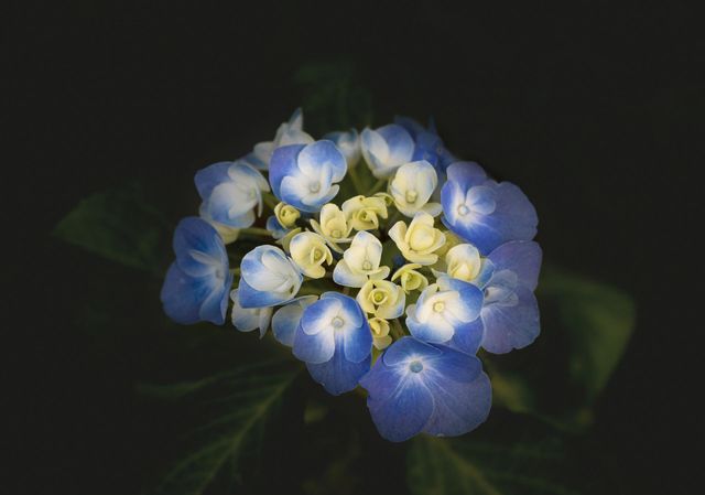 Погода 18 травня в Україні: синоптик попередила про короткочасне похолодання - фото 505474