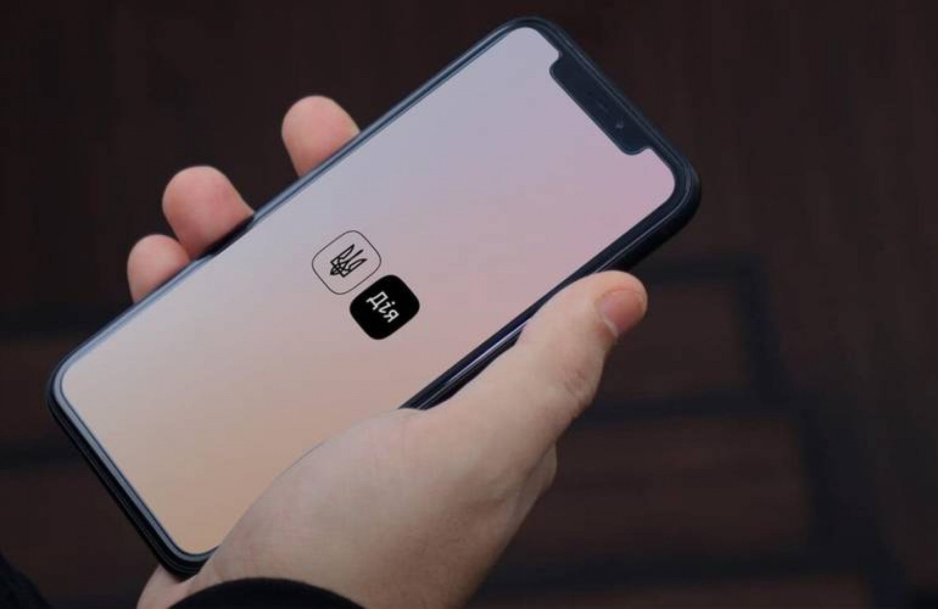 Михайло Федоров сповістив про нову послугу у застосунку Дія - фото 1