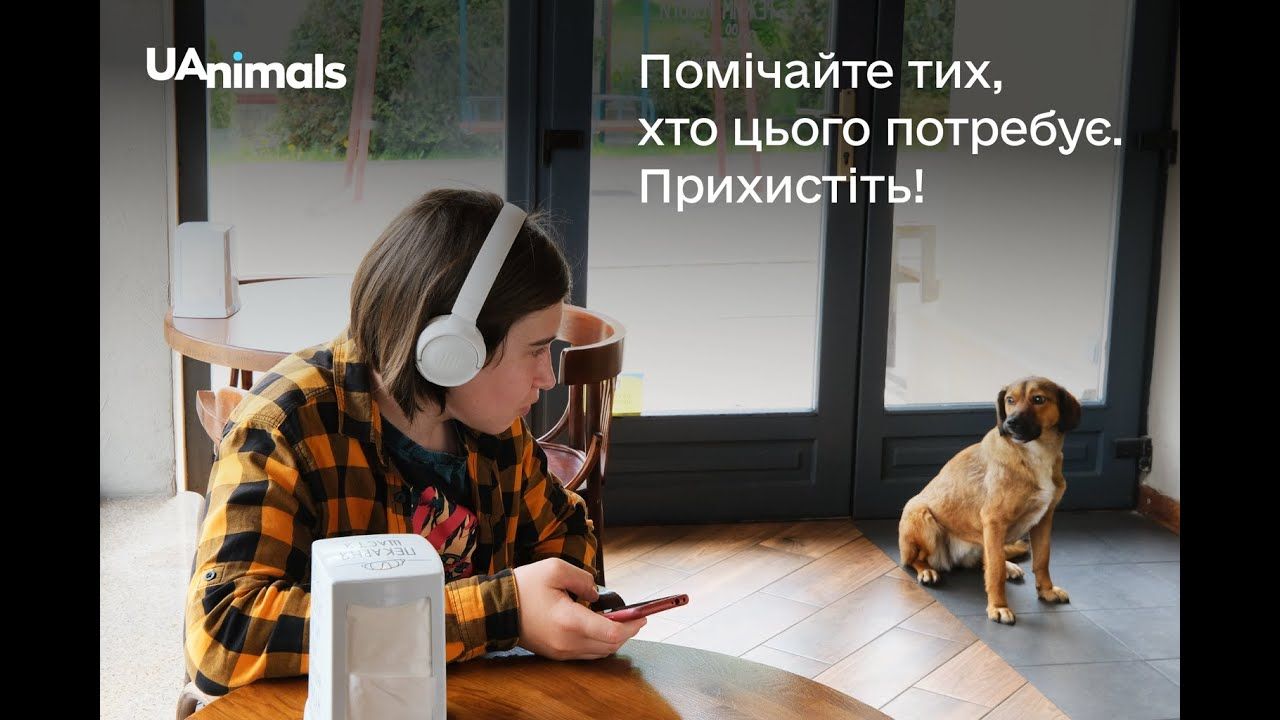 Хлопчик, який не побачив Джолі у кафе Львова, закликав забирати тварин з притулків