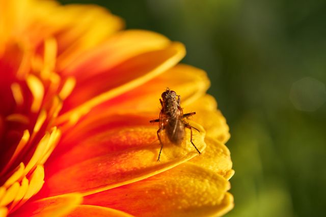 21 травня 2022 – яке сьогодні свято: традиції, заборони і прикмети - фото 505608